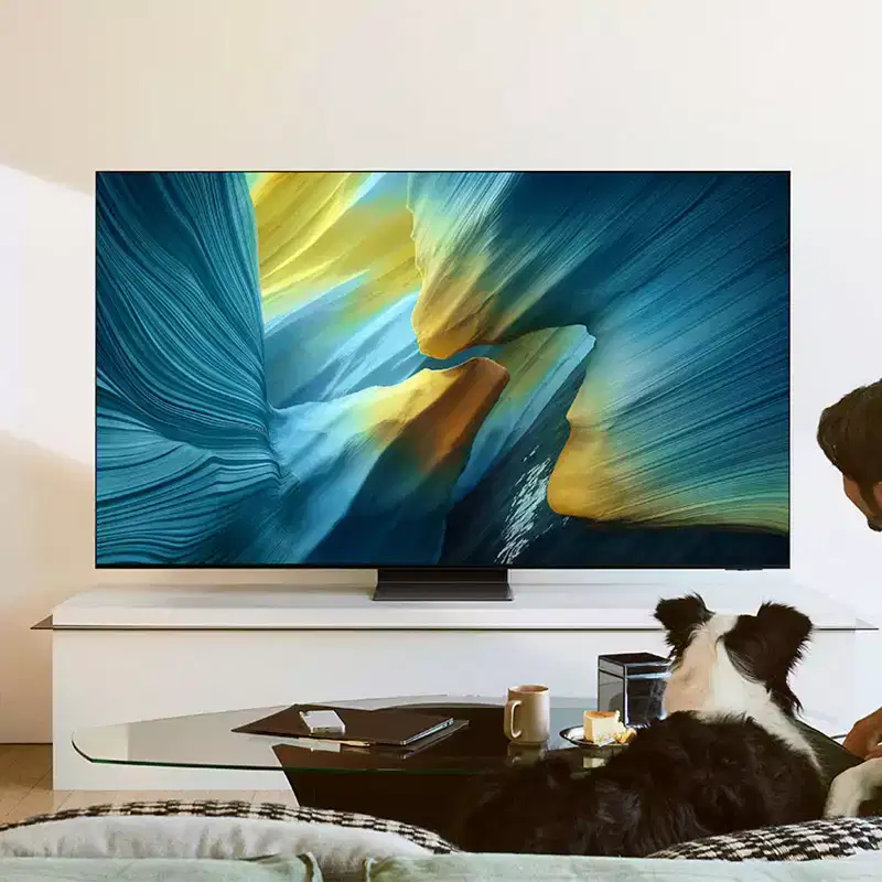 Samsung S95F 65 4K OLED Smart TV