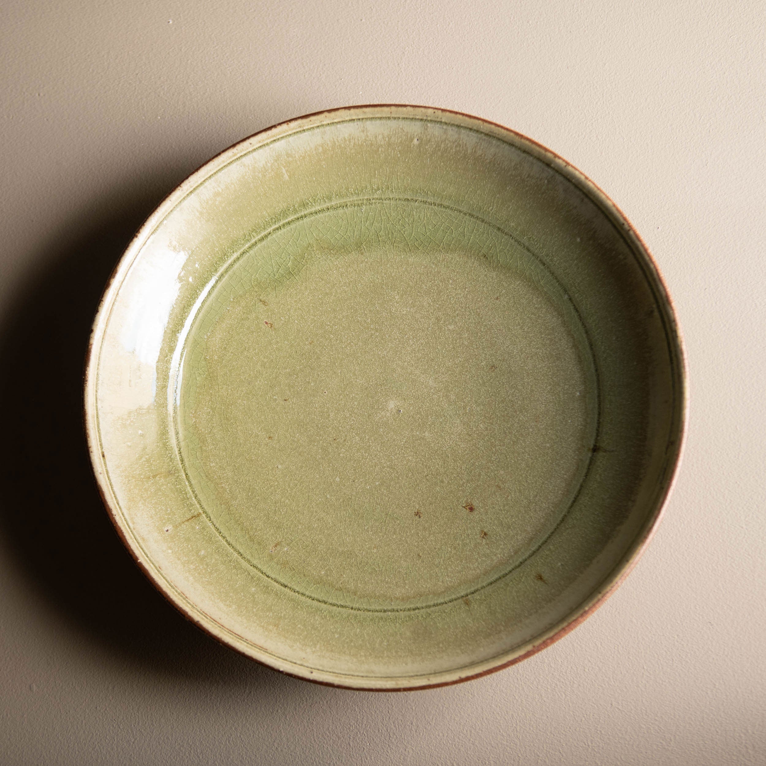 Large Dish