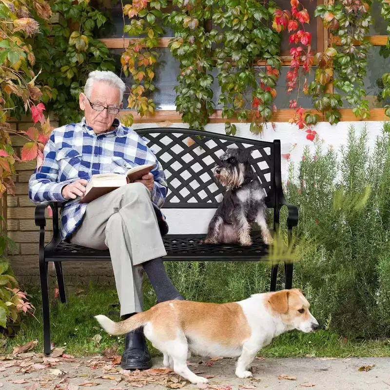 VINGLI 40.5 Outdoor Metal Bench, 2-Person Anti- Rust Cast Aluminum Frame Patio Bench, Black Cast Iron Garden Bench for Porch Yard Park