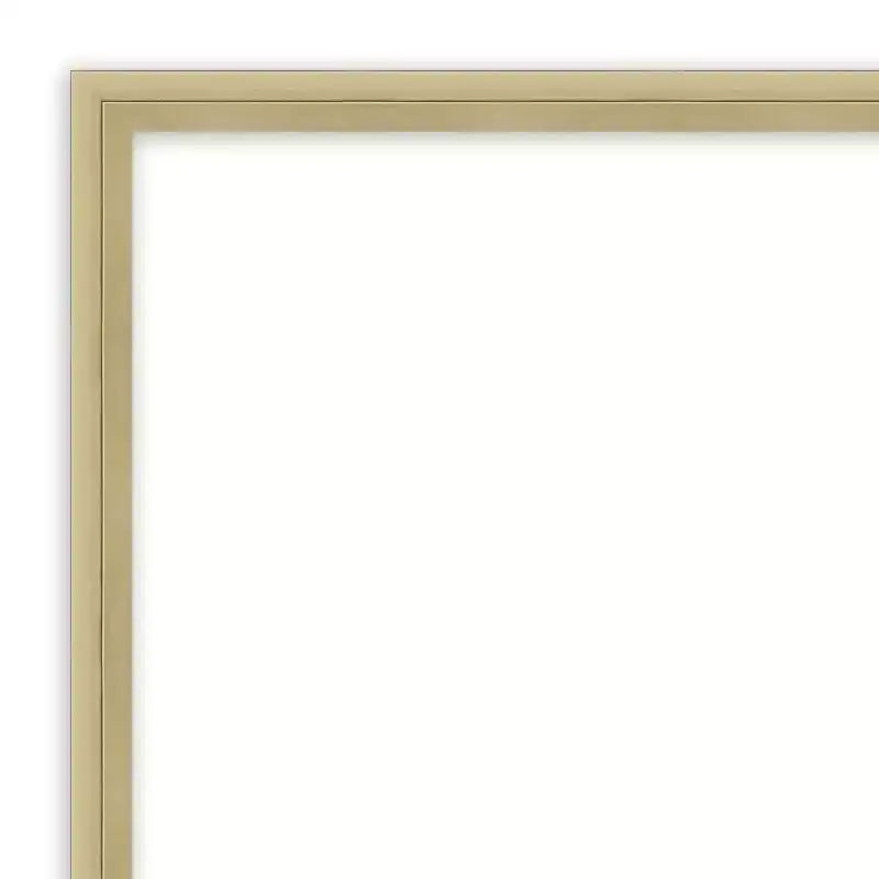 Amanti Art Lucie Champagne Non-Beveled Wood Wall Mirror 25.25 x 19.25 in.