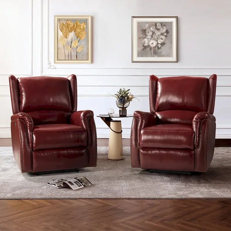 Eduardo Genuine Leather Power Recliner with USB Port Set of 2