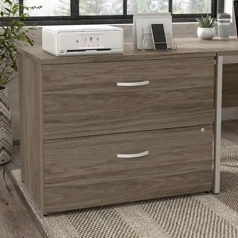 Hybrid 2 Drawer Lateral File Cabinet by