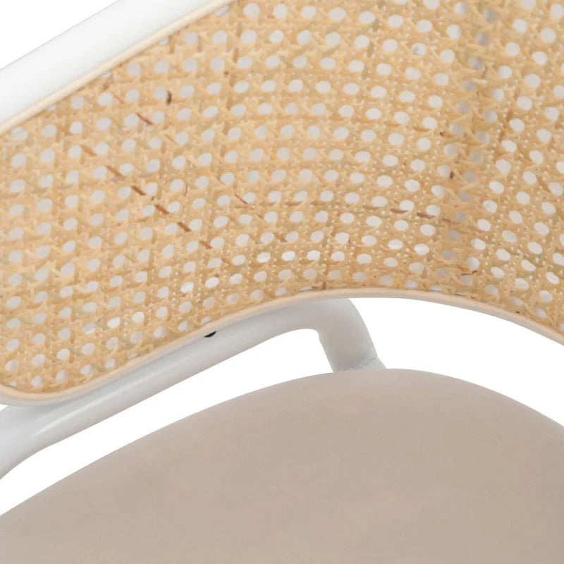 Modern Stylish Dining Arm Chair with Rattan Back and Steel Legs