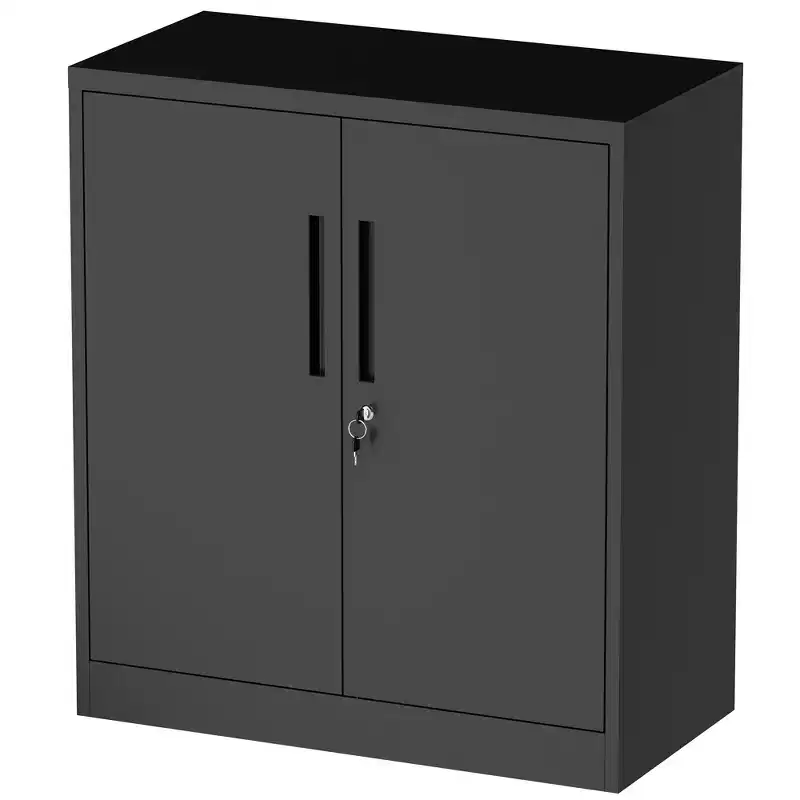 2-Door Metal Garage Storage Cabinet with Lock and 2 Adjustable Shelves, Heavy Duty Steel File Cabinet