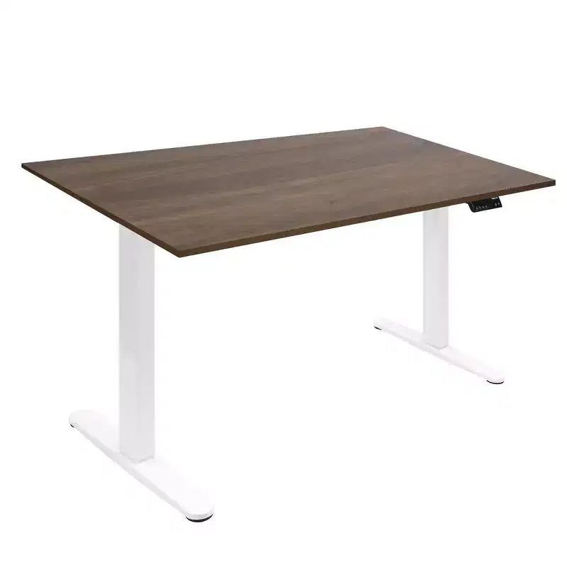 Dual Motor Electric Standing Desk with 55